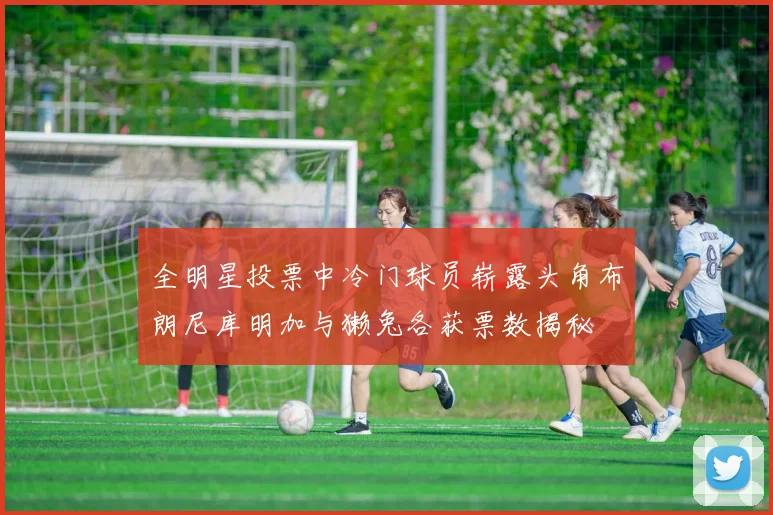 全明星投票中冷门球员崭露头角布朗尼库明加与獭兔各获票数揭秘