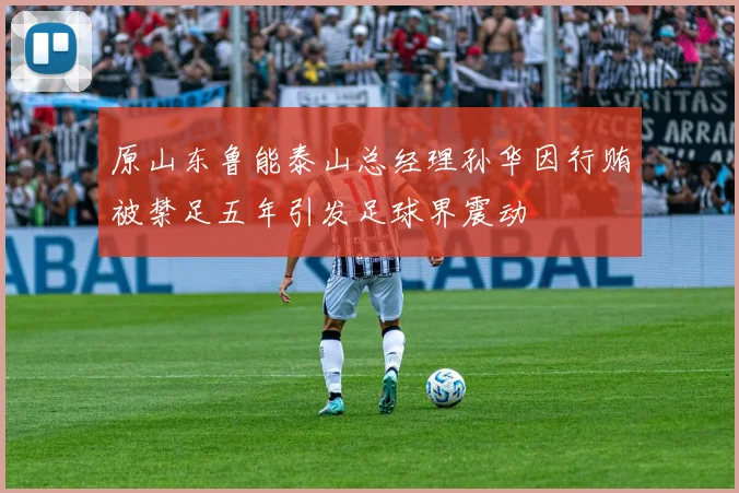 原山东鲁能泰山总经理孙华因行贿被禁足五年引发足球界震动